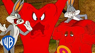 Looney Tunes  Gossamer Gets a Makeover  WB Kids [upl. by Otrebilif]