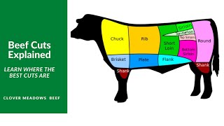 Understanding Beef Cuts [upl. by Neenwahs]