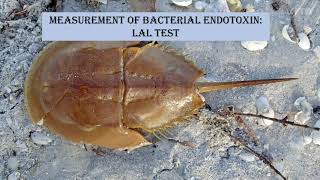 Endotoxin testing  BET  LAL test [upl. by Ellehcim137]