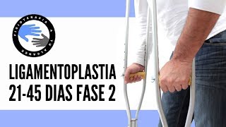 FASE 2 Ligamentoplastia rehabilitacion para la operacion del ligamento cruzado anterior o lca [upl. by Julienne]