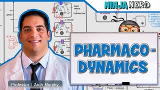 Pharmacodynamics [upl. by Eilloh]