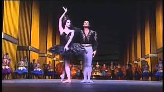 POB 1992 Swan Lake cho Bourmeister Patrick Dupond Marie Claude Pietragalla Oliver Patey [upl. by Bonaparte]