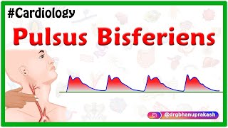 Pulsus bisferiens  USMLE  Cardiology [upl. by Otirecul326]