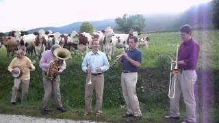 Cow Concert unedited  Part 2 [upl. by Norted]