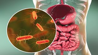 Microorganisms and Humans Commensal and Pathogenic Flora [upl. by Diandre713]