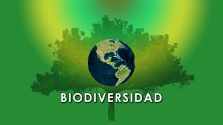 Biodiversidad en Costa Rica [upl. by Naitsabes]