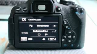 Canon T4i650D Guide to the Basic Modes on the Dial [upl. by Etteniotnna]