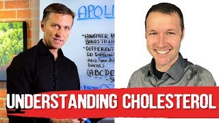 Cholesterol Basics 101 by Dave Feldman amp Dr Berg [upl. by Pasia]