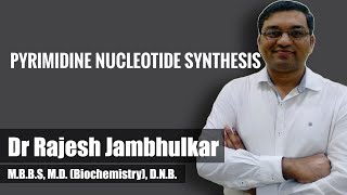 Pyrimidine nucleotide synthesis and degradation [upl. by Eninnej186]