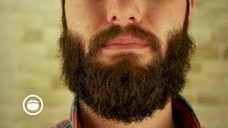 What to Do About Mustache Gaps  YEARD WEEK 12 [upl. by Lasiaf478]