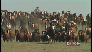 Northwest Profiles Born to Buck Calgary Stampede [upl. by Billmyre]