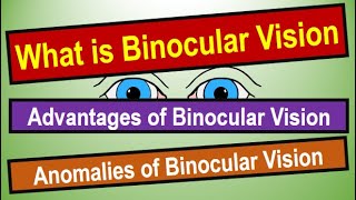 BINOCULAR VISION Binocular Vision tests grades and treatment binocularvision [upl. by Arahsat591]