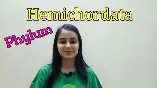 Phylum Hemichordata  Biological classification part 19  Class XILecture 47 [upl. by Elleinnad]