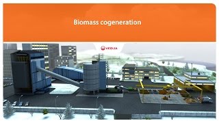 Cogeneration biomass  Veolia [upl. by Iridissa415]