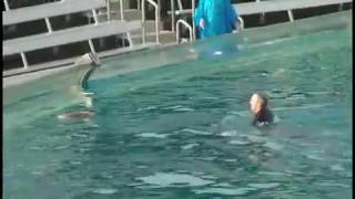 Sea World Shamu kills trainer VIDEO [upl. by Carberry583]