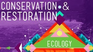 Conservation and Restoration Ecology Crash Course Ecology 12 [upl. by Norvol]