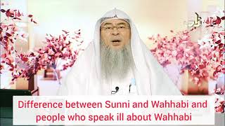 Difference between Sunni amp Wahabi and people who speak ill about Wahabis  Assim al hakeem [upl. by Nyltiac171]