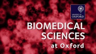 Biomedical Sciences at Oxford University [upl. by Serles]