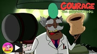 Courage The Cowardly Dog  The Transplant  Cartoon Network [upl. by Qidas]