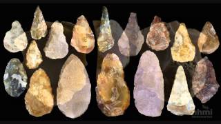 Stone Tool Technology of Our Human Ancestors — HHMI BioInteractive Video [upl. by Defant]