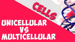 Unicellular vs Multicellular  Cells  Biology  AddyESchool [upl. by Zalucki]