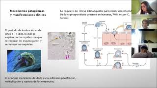 Cryptosporidium [upl. by Chamberlin]