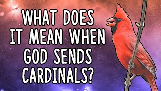 What Does It Mean When God Sends Cardinals  Cardinal Spirit Animal [upl. by Nassah624]