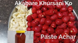 Dalle Khursani Ko Paste AcharHow To Make Chilli Pickle [upl. by Gati521]