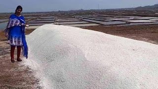 Salt Nacl mineral Making Process Naturally  How to make Sea crystalline Salt Chemistry Preparation [upl. by Jit]