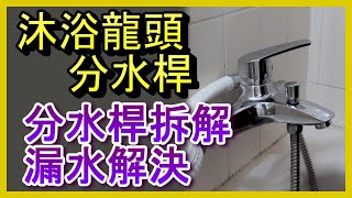 分水桿 蓮蓬頭漏水 分水杆切換有問題 沐浴龍頭分水器拆解分析及解決方法 洗澡 水龍頭 凡爾 落水頭 止洩帶 陶瓷芯 馬桶 堵塞 臉盆 廚房 更換 居家水電修繕 安裝 阿寶頻道 修EP16 [upl. by Armand]