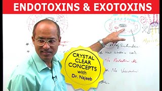 Endotoxins and Exotoxins [upl. by Anor]