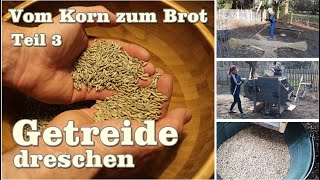 Teil 3 dreschen 🌾 verschiedene Methoden quotVom Korn zum Brotquot [upl. by Lassiter]