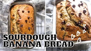 Sourdough Discard Banana Bread Recipe  NO WAIT Sourdough Discard Recipe [upl. by Ylrebmyk413]