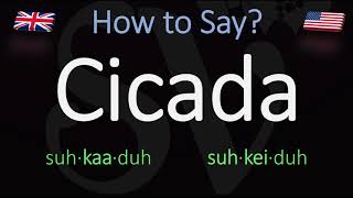 How to Pronounce Cicada British Vs American Pronunciation  Spanish [upl. by Negeam233]