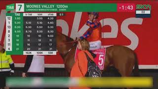 2024 MVRC MOONEE VALLEY Manikato Stakes [upl. by Souvaine]