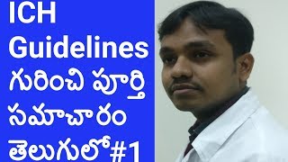 How to know about ICH Guidelines in Telugu  ICH Guidelines in Pharma Industry  Pharma Guide [upl. by Accemahs]