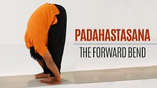 How to do Padahastasana Forward Bend  Yoga  Standing Postures [upl. by Silma]