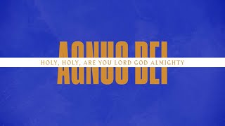 Agnus Dei Spontaneous Official Lyric Video  LIFE Worship [upl. by Vitalis194]