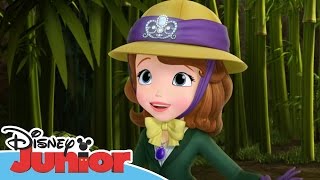 Sofia the First  Stronger Than You Know  Official Disney Junior Africa [upl. by Brianna]