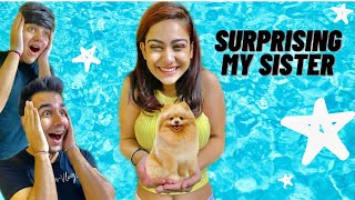 SURPRISING MY SISTER WITH A NEW DOG  Rimorav Vlogs [upl. by Elgar]