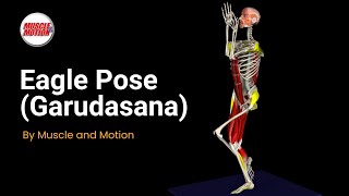 Eagle Pose Garudasana Balance amp Alignment [upl. by Azenav]