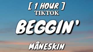 Måneskin  Beggin Lyrics 1 Hour Loop TikTok Song [upl. by Hulda]