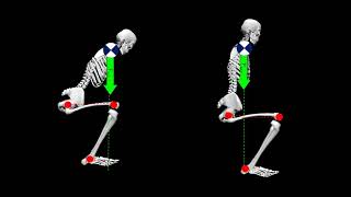 Basics of Lifting Mechanics [upl. by Asemaj]