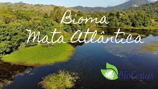 BIOMA MATA ATLÂNTICA [upl. by Aynosal]