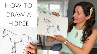 How to draw a horse standing for beginners [upl. by Eelano]