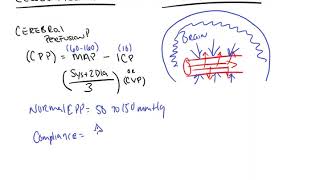 Increased ICP in 2 minutes [upl. by Avirt]