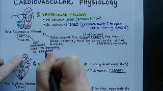 Cardiac Cycle  Cardiovascular Physiology [upl. by Ravilob]