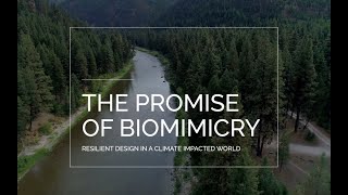 quotThe Promise of Biomimicryquot  Innovation and Design Inspired by Nature [upl. by Aihsenrad657]