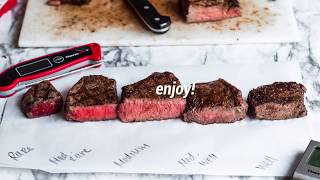 How to Temp Steak Accurately  Grill Steak like a Pro [upl. by Caundra]