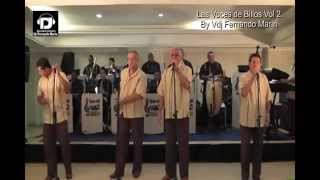 Las Voces de Billos Vol 2 By Vdj Fernando Marin [upl. by Shanta]